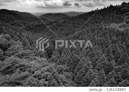 六甲有馬ロープウェイからの景色 126129993