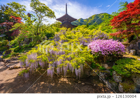 前山寺 藤の花の名所 「未完成の完成の塔」の三重塔 前山寺 藤の花の名所 「未完成の完成の塔」の三重塔 126130004