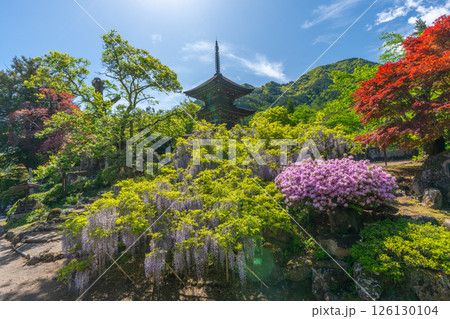 前山寺 藤の花の名所 「未完成の完成の塔」の三重塔 前山寺 藤の花の名所 「未完成の完成の塔」の三重塔 126130104