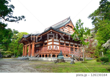乙宝寺のきのと桜（新潟県） 126130164
