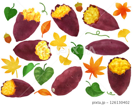 焼き芋、さつまいものイラスト(しずる感、リアル、写真、秋) 焼き芋、さつまいものイラスト(しずる感、リアル、写真、秋) 126130402