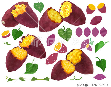 焼き芋、さつまいものイラスト(しずる感、リアル、写真、秋、紅葉、銀杏、落ち葉)　  126130403