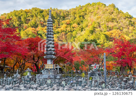 Pagoda and Buddha statue at Adashino temple in autumn, Arashiyama 126130675