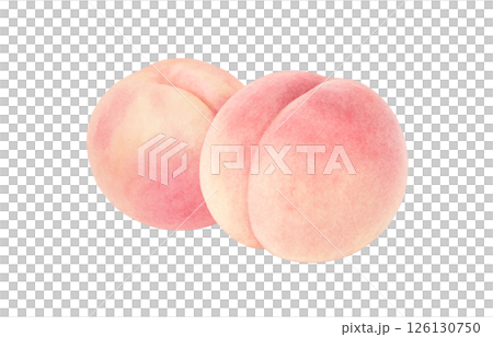 桃子插畫水彩白桃子 126130750