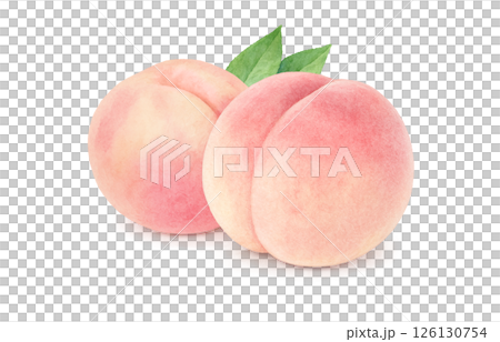 桃のイラスト 水彩 白桃 もも 126130754