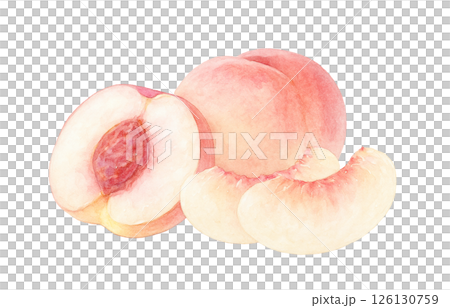 桃子插畫水彩白桃子 桃子插畫水彩白桃子 126130759
