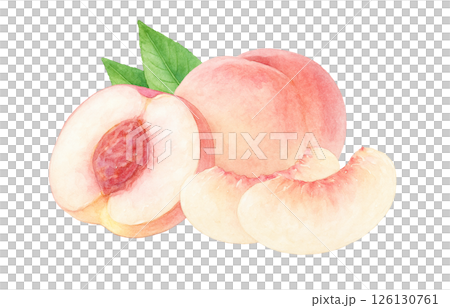 桃のイラスト 水彩 白桃 もも 126130761
