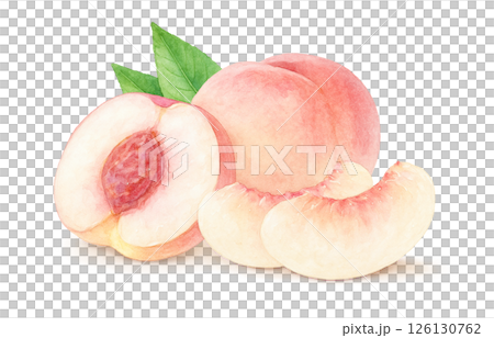桃子插畫水彩白桃子 126130762
