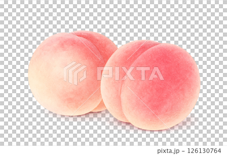 桃のイラスト 水彩 白桃 もも 126130764
