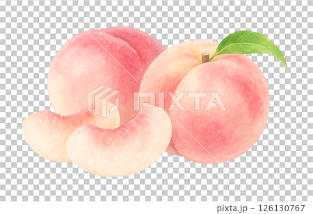 桃のイラスト 水彩 白桃 もも 桃のイラスト 水彩 白桃 もも 126130767