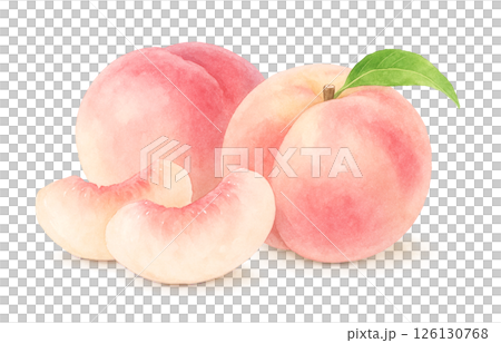 桃のイラスト 水彩 白桃 もも 桃のイラスト 水彩 白桃 もも 126130768