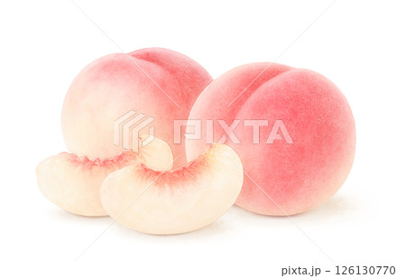 桃のイラスト 水彩 白桃 もも 桃のイラスト 水彩 白桃 もも 126130770