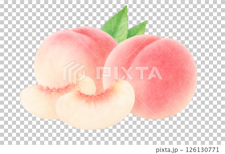 桃のイラスト 水彩 白桃 もも 126130771