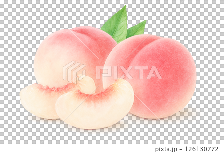 Peach illustration watercolor white peach peach 126130772