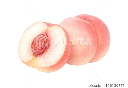 桃のイラスト 水彩 白桃 もも 126130773