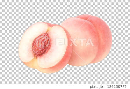 桃のイラスト 水彩 白桃 もも 126130773