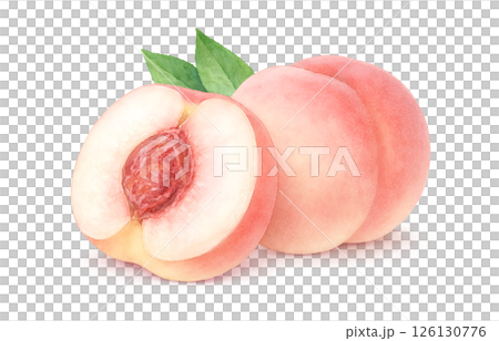 Peach illustration watercolor white peach peach 126130776