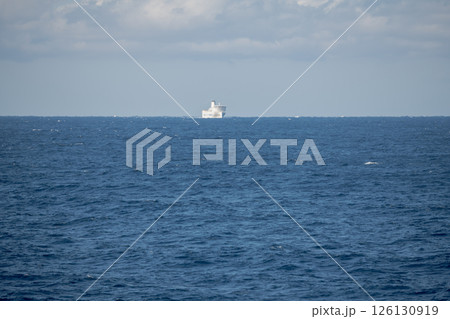 【東京九州フェリー新門司港行はまゆうと横須賀港行きそれいゆとの離合】 126130919