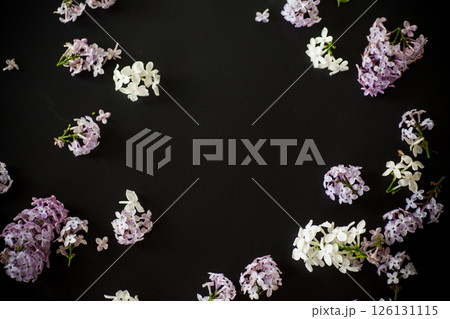 Lilac flower frame on black background with empty space for text 126131115