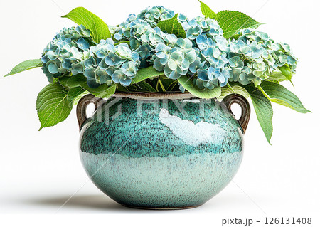 Ceramic vase in antique style with big Hydrangea bush grows on a white background. 126131408