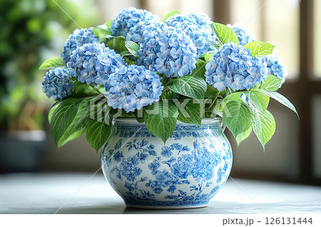 Ceramic vase in antique style with big Hydrangea bush grows on a white background. 126131444