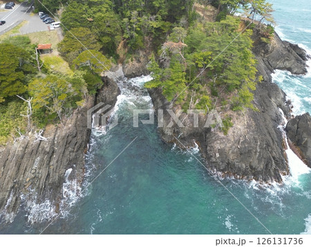 新緑の神割崎 空撮 新緑の神割崎 空撮 126131736