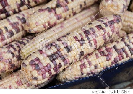 Closeup of waxy corn for sale at a market stall Closeup of waxy corn for sale at a market stall 126132868