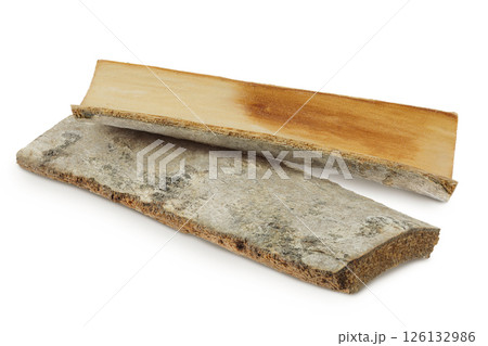 piece of aspen bark isolated on white background. 126132986