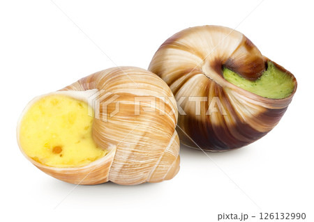 escargot snail filled with garlic and parsley butter isolated on white background escargot snail filled with garlic and parsley butter isolated on white background 126132990
