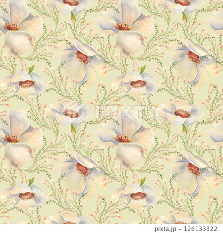 White anemone floral seamless pattern, hand painted in watercolor with sprigs of foliage and meadow grass isolated on green. blooms neutral tone repeat background for spring products, prints, textile. White anemone floral seamless pattern, hand painted in watercolor with sprigs of foliage and meadow grass isolated on green. blooms neutral tone repeat background for spring products, prints, textile. 126133322