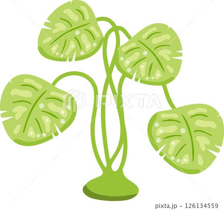 Flat style indoor plant with green leaves. Tropical cartoon foliage vector. 126134559