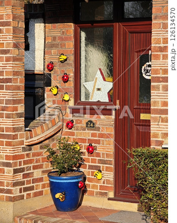 colorful hanging potted plants on a brick wall colorful hanging potted plants on a brick wall 126134570