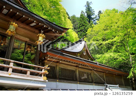京都・鴨川の水源『貴船川』沿いに建つ… 縁結びの神水【貴船神社】 126135259