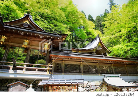 京都・鴨川の水源『貴船川』沿いに建つ… 縁結びの神水【貴船神社】 京都・鴨川の水源『貴船川』沿いに建つ… 縁結びの神水【貴船神社】 126135264
