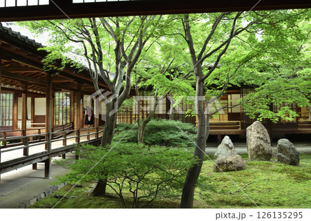 大本山建仁寺 潮音庭(京都市東山区) 大本山建仁寺 潮音庭(京都市東山区) 126135295