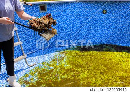 Person uses broom to remove leaves from swimming pool filled with green water debris in backyard. Person uses broom to remove leaves from swimming pool filled with green water debris in backyard. 126135413