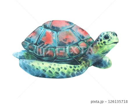 A watercolor illustration of a small sea turtle in shades of turquoise, blue, and brown. This isolated object captures the serene beauty of marine life, perfect for nature, ocean, or wildlife-themed 126135718