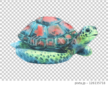 A watercolor illustration of a small sea turtle in shades of turquoise, blue, and brown. This isolated object captures the serene beauty of marine life, perfect for nature, ocean, or wildlife-themed 126135718