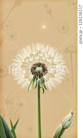 Vintage style dandelion clock botanical art beige paper 126136117
