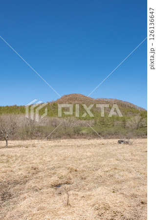 5月の那須高原沼ッ原湿原 5月の那須高原沼ッ原湿原 126136647