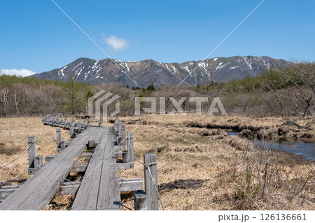 5月の那須高原沼ッ原湿原木道の風景 5月の那須高原沼ッ原湿原木道の風景 126136661
