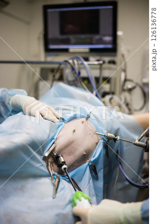Veterinarians perform laparoscopic surgery on a dog lying on an operating table, using special instruments and a monitor that displays internal organs. Laparoscopic surgery on a pet. Veterinarians perform laparoscopic surgery on a dog lying on an operating table, using special instruments and a monitor that displays internal organs. Laparoscopic surgery on a pet. 126136778