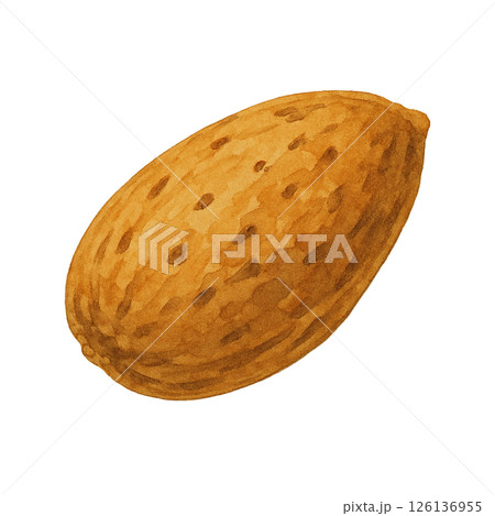 水彩風 殻付きアーモンドのイラスト 水彩風 殻付きアーモンドのイラスト 126136955