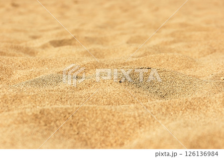 Sand of a beach detail Sand of a beach detail 126136984