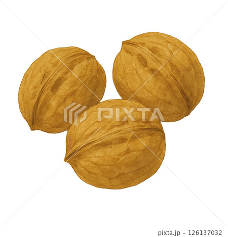 水彩風 殻付きクルミのイラスト 126137032