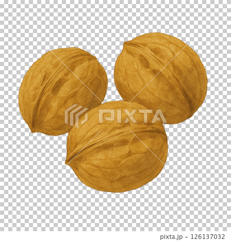水彩風 殻付きクルミのイラスト 126137032