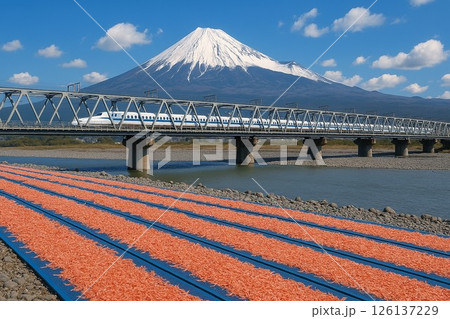 河川敷の桜エビの天日干し風景と冠雪の富士山に新幹線 126137229