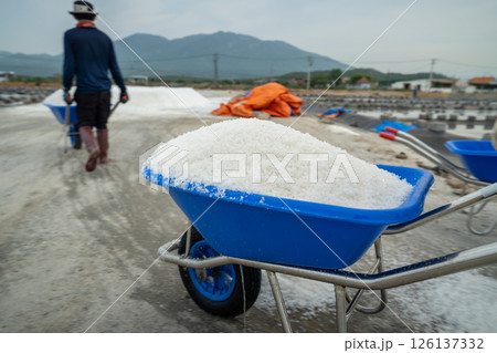 Man moves harvested salt on cart at Hon Knoi salt field in Indochina region, mineral evaporation 126137332