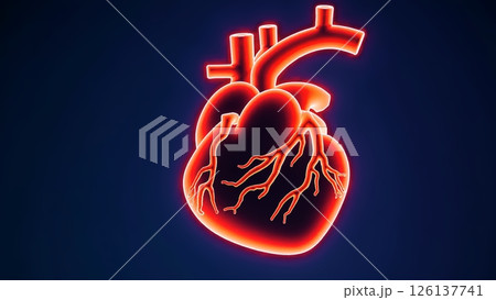 Realistic anatomical 3d model of a human heart beating on a dark blue background, isolated on white, ideal for medical and educational projects 126137741
