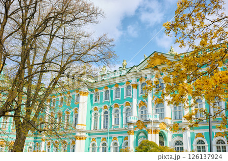 the incredibly picturesque facade of the Winter Palace through the branches of trees on a clear spring day, the heritage of Russia, the most famous landmark of St. Petersburg, the museum 126137924